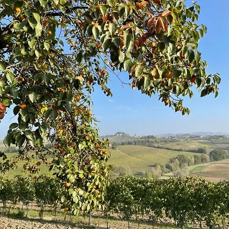 Locazione Turistica Cascina Pela