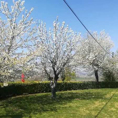 Locazione Turistica Cascina Pela * Castagnole delle Lanze
