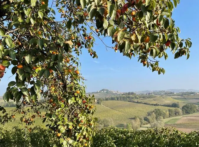 Locazione Turistica Cascina Pela