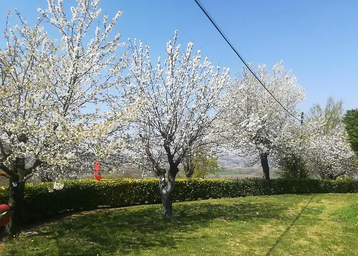 Locazione Turistica Cascina Pela * Castagnole delle Lanze